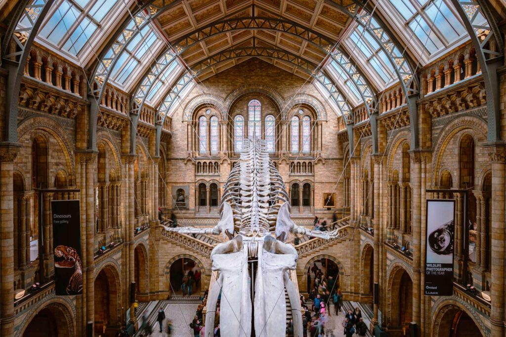 18 Best Museums in London You Have to See in 2023 160 18 Best Museums in London You Have to See in 2023